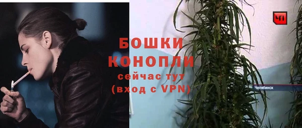 мескалин Богородицк