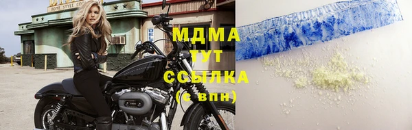 спиды Богданович