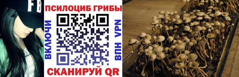 Псилоцибиновые грибы мухоморы  Купить закладки  Верхнеуральск 